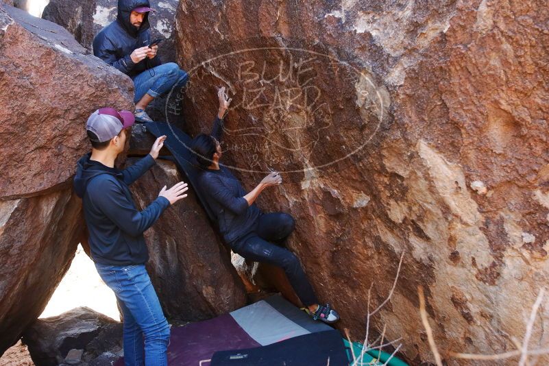 Bouldering in Hueco Tanks on 02/14/2020 with Blue Lizard Climbing and Yoga

Filename: SRM_20200214_1349560.jpg
Aperture: f/4.0
Shutter Speed: 1/250
Body: Canon EOS-1D Mark II
Lens: Canon EF 16-35mm f/2.8 L