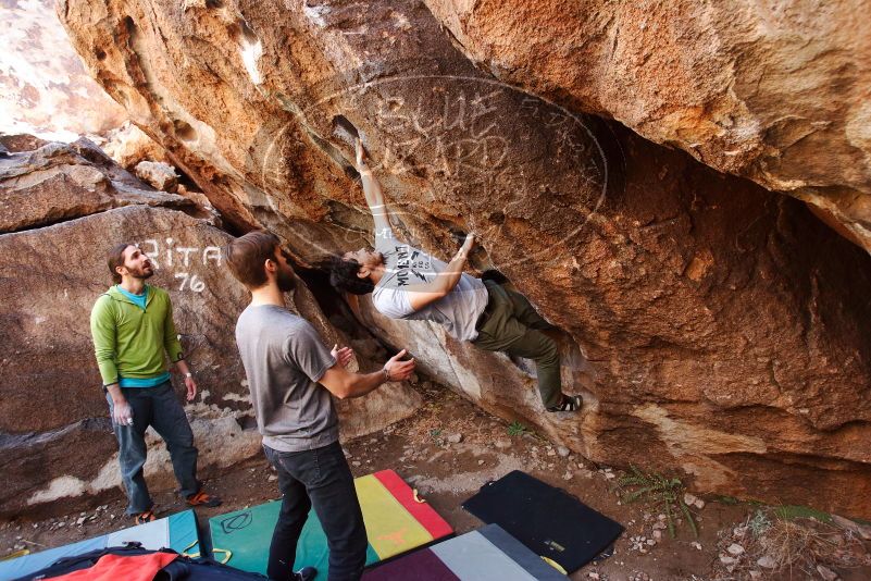 Bouldering in Hueco Tanks on 02/14/2020 with Blue Lizard Climbing and Yoga

Filename: SRM_20200214_1521320.jpg
Aperture: f/4.5
Shutter Speed: 1/250
Body: Canon EOS-1D Mark II
Lens: Canon EF 16-35mm f/2.8 L