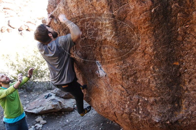 Bouldering in Hueco Tanks on 02/14/2020 with Blue Lizard Climbing and Yoga

Filename: SRM_20200214_1545290.jpg
Aperture: f/4.5
Shutter Speed: 1/250
Body: Canon EOS-1D Mark II
Lens: Canon EF 16-35mm f/2.8 L