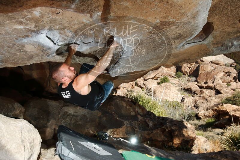 Bouldering in Hueco Tanks on 02/14/2020 with Blue Lizard Climbing and Yoga

Filename: SRM_20200214_1649410.jpg
Aperture: f/8.0
Shutter Speed: 1/250
Body: Canon EOS-1D Mark II
Lens: Canon EF 16-35mm f/2.8 L