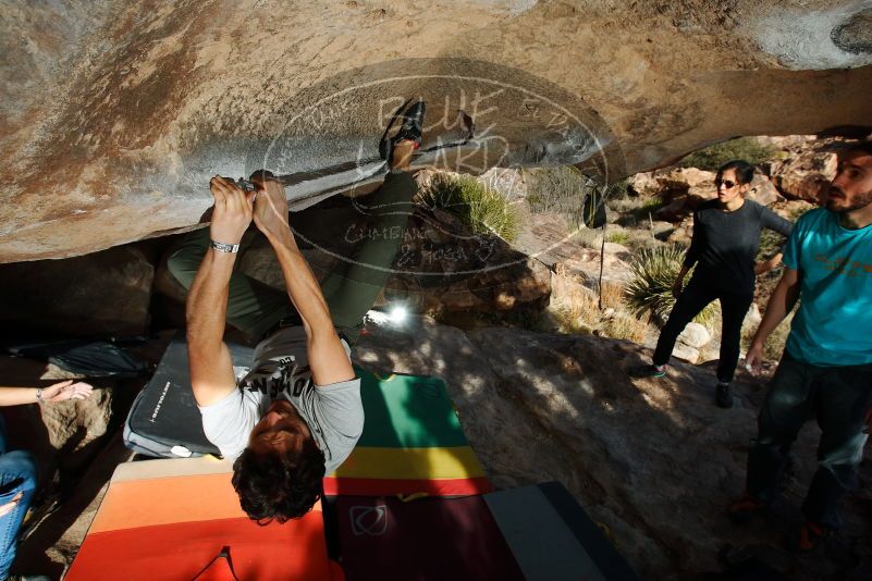 Bouldering in Hueco Tanks on 02/14/2020 with Blue Lizard Climbing and Yoga

Filename: SRM_20200214_1653220.jpg
Aperture: f/8.0
Shutter Speed: 1/250
Body: Canon EOS-1D Mark II
Lens: Canon EF 16-35mm f/2.8 L