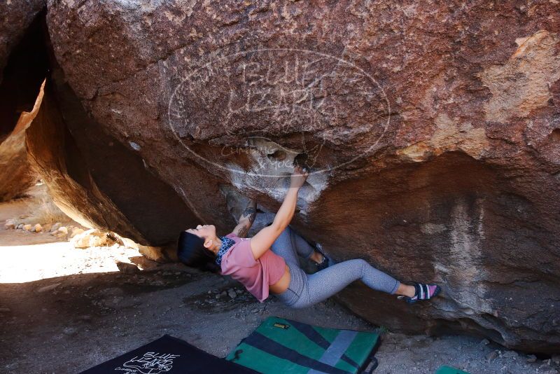 Bouldering in Hueco Tanks on 02/16/2020 with Blue Lizard Climbing and Yoga

Filename: SRM_20200216_1046260.jpg
Aperture: f/5.6
Shutter Speed: 1/250
Body: Canon EOS-1D Mark II
Lens: Canon EF 16-35mm f/2.8 L