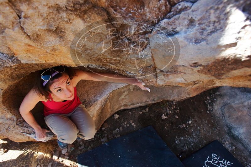 Bouldering in Hueco Tanks on 02/16/2020 with Blue Lizard Climbing and Yoga

Filename: SRM_20200216_1106500.jpg
Aperture: f/4.5
Shutter Speed: 1/250
Body: Canon EOS-1D Mark II
Lens: Canon EF 16-35mm f/2.8 L