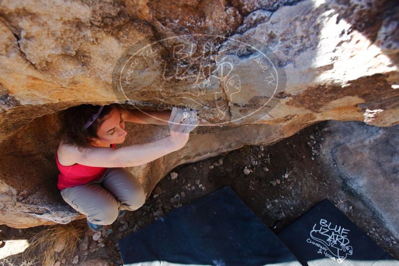 Bouldering in Hueco Tanks on 02/16/2020 with Blue Lizard Climbing and Yoga

Filename: SRM_20200216_1107050.jpg
Aperture: f/4.5
Shutter Speed: 1/250
Body: Canon EOS-1D Mark II
Lens: Canon EF 16-35mm f/2.8 L