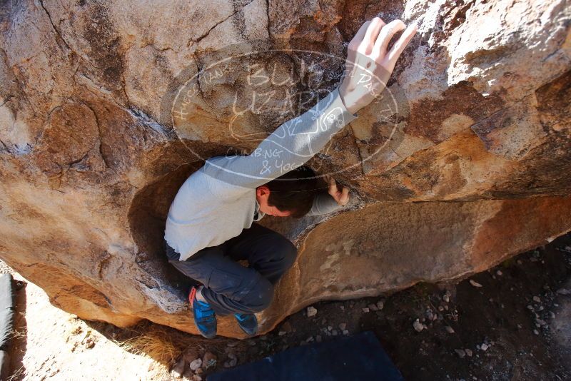 Bouldering in Hueco Tanks on 02/16/2020 with Blue Lizard Climbing and Yoga

Filename: SRM_20200216_1109220.jpg
Aperture: f/4.5
Shutter Speed: 1/250
Body: Canon EOS-1D Mark II
Lens: Canon EF 16-35mm f/2.8 L