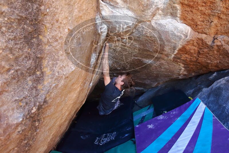 Bouldering in Hueco Tanks on 02/16/2020 with Blue Lizard Climbing and Yoga

Filename: SRM_20200216_1130420.jpg
Aperture: f/4.5
Shutter Speed: 1/250
Body: Canon EOS-1D Mark II
Lens: Canon EF 16-35mm f/2.8 L