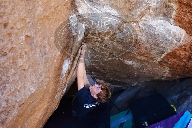 Bouldering in Hueco Tanks on 02/16/2020 with Blue Lizard Climbing and Yoga

Filename: SRM_20200216_1131140.jpg
Aperture: f/4.5
Shutter Speed: 1/250
Body: Canon EOS-1D Mark II
Lens: Canon EF 16-35mm f/2.8 L