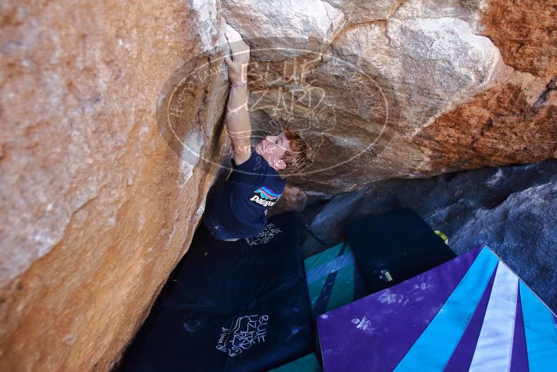 Bouldering in Hueco Tanks on 02/16/2020 with Blue Lizard Climbing and Yoga

Filename: SRM_20200216_1131190.jpg
Aperture: f/3.5
Shutter Speed: 1/250
Body: Canon EOS-1D Mark II
Lens: Canon EF 16-35mm f/2.8 L