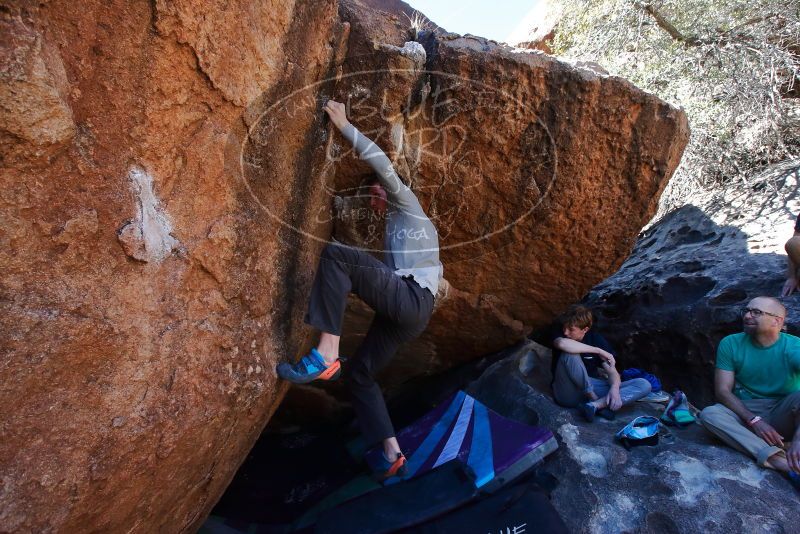 Bouldering in Hueco Tanks on 02/16/2020 with Blue Lizard Climbing and Yoga

Filename: SRM_20200216_1136550.jpg
Aperture: f/8.0
Shutter Speed: 1/250
Body: Canon EOS-1D Mark II
Lens: Canon EF 16-35mm f/2.8 L