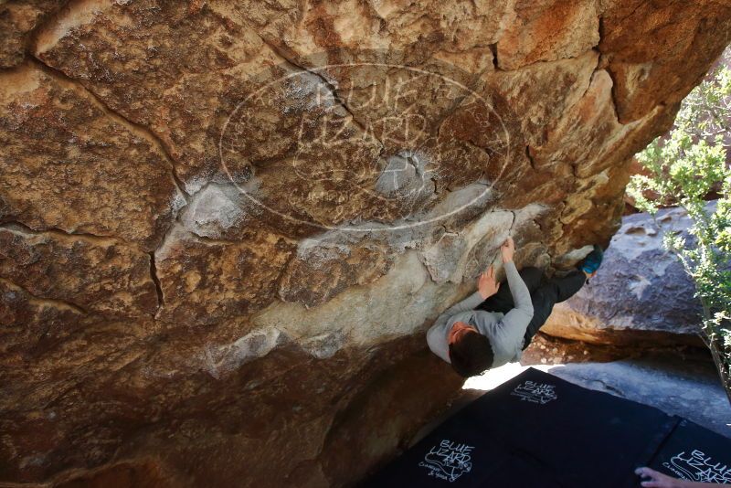 Bouldering in Hueco Tanks on 02/16/2020 with Blue Lizard Climbing and Yoga

Filename: SRM_20200216_1203410.jpg
Aperture: f/5.0
Shutter Speed: 1/250
Body: Canon EOS-1D Mark II
Lens: Canon EF 16-35mm f/2.8 L