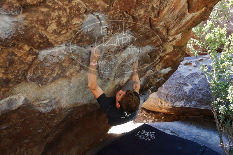 Bouldering in Hueco Tanks on 02/16/2020 with Blue Lizard Climbing and Yoga

Filename: SRM_20200216_1205430.jpg
Aperture: f/5.0
Shutter Speed: 1/250
Body: Canon EOS-1D Mark II
Lens: Canon EF 16-35mm f/2.8 L