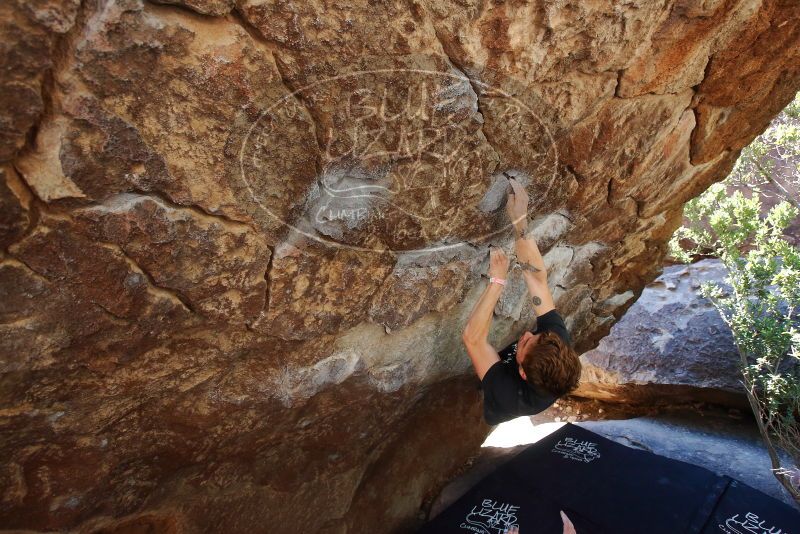 Bouldering in Hueco Tanks on 02/16/2020 with Blue Lizard Climbing and Yoga

Filename: SRM_20200216_1205480.jpg
Aperture: f/5.0
Shutter Speed: 1/250
Body: Canon EOS-1D Mark II
Lens: Canon EF 16-35mm f/2.8 L