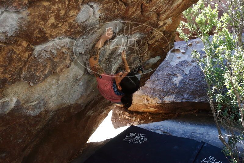 Bouldering in Hueco Tanks on 02/16/2020 with Blue Lizard Climbing and Yoga

Filename: SRM_20200216_1206431.jpg
Aperture: f/5.0
Shutter Speed: 1/250
Body: Canon EOS-1D Mark II
Lens: Canon EF 16-35mm f/2.8 L