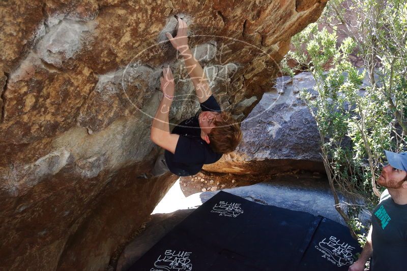 Bouldering in Hueco Tanks on 02/16/2020 with Blue Lizard Climbing and Yoga

Filename: SRM_20200216_1212100.jpg
Aperture: f/5.0
Shutter Speed: 1/320
Body: Canon EOS-1D Mark II
Lens: Canon EF 16-35mm f/2.8 L