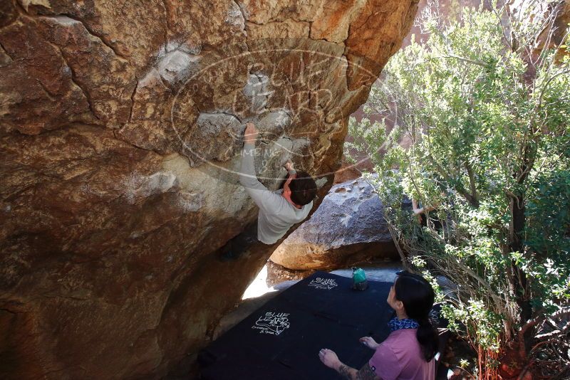 Bouldering in Hueco Tanks on 02/16/2020 with Blue Lizard Climbing and Yoga

Filename: SRM_20200216_1221520.jpg
Aperture: f/5.6
Shutter Speed: 1/250
Body: Canon EOS-1D Mark II
Lens: Canon EF 16-35mm f/2.8 L