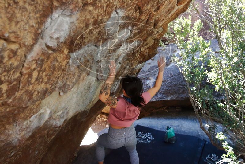 Bouldering in Hueco Tanks on 02/16/2020 with Blue Lizard Climbing and Yoga

Filename: SRM_20200216_1223251.jpg
Aperture: f/5.6
Shutter Speed: 1/250
Body: Canon EOS-1D Mark II
Lens: Canon EF 16-35mm f/2.8 L