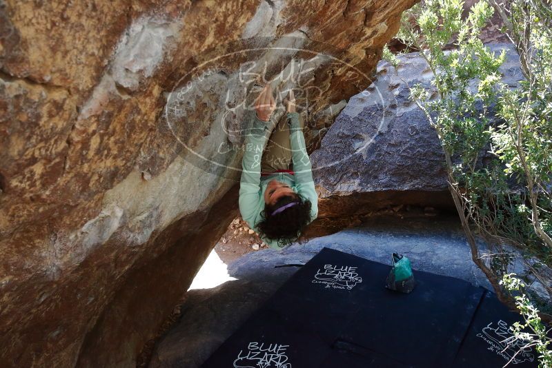 Bouldering in Hueco Tanks on 02/16/2020 with Blue Lizard Climbing and Yoga

Filename: SRM_20200216_1224570.jpg
Aperture: f/5.6
Shutter Speed: 1/250
Body: Canon EOS-1D Mark II
Lens: Canon EF 16-35mm f/2.8 L