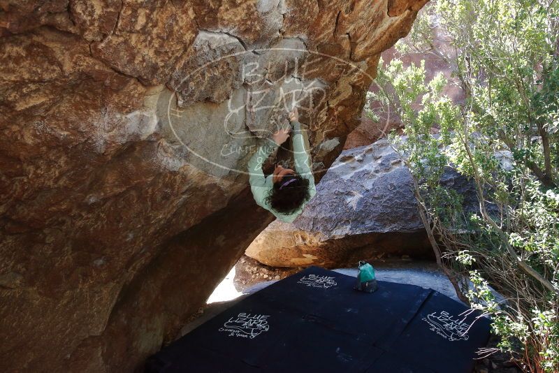 Bouldering in Hueco Tanks on 02/16/2020 with Blue Lizard Climbing and Yoga

Filename: SRM_20200216_1226040.jpg
Aperture: f/5.6
Shutter Speed: 1/250
Body: Canon EOS-1D Mark II
Lens: Canon EF 16-35mm f/2.8 L