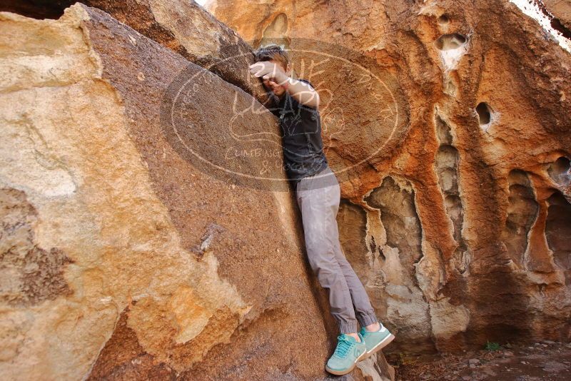 Bouldering in Hueco Tanks on 02/16/2020 with Blue Lizard Climbing and Yoga

Filename: SRM_20200216_1233550.jpg
Aperture: f/5.6
Shutter Speed: 1/250
Body: Canon EOS-1D Mark II
Lens: Canon EF 16-35mm f/2.8 L