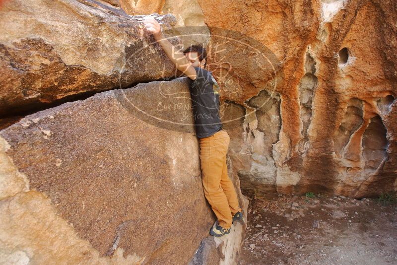 Bouldering in Hueco Tanks on 02/16/2020 with Blue Lizard Climbing and Yoga

Filename: SRM_20200216_1241120.jpg
Aperture: f/5.0
Shutter Speed: 1/250
Body: Canon EOS-1D Mark II
Lens: Canon EF 16-35mm f/2.8 L