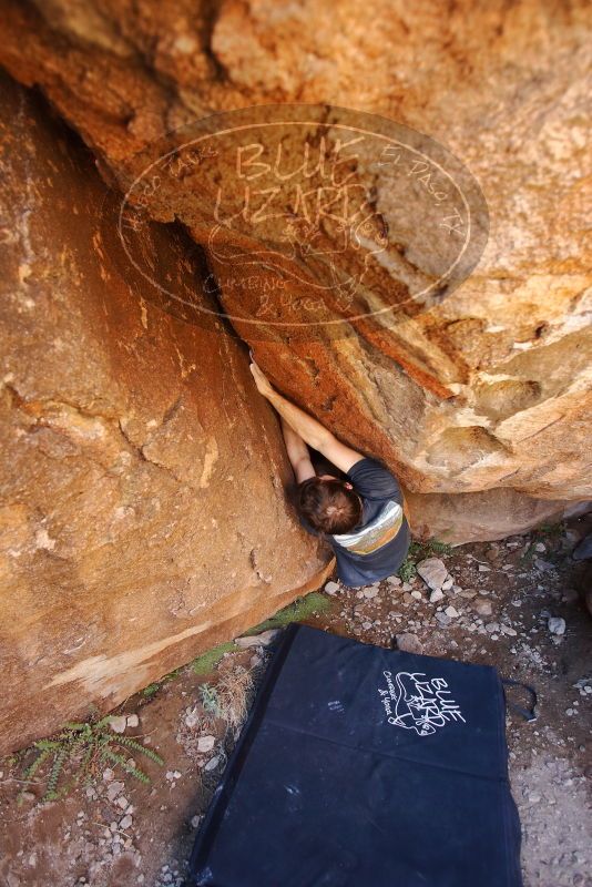 Bouldering in Hueco Tanks on 02/16/2020 with Blue Lizard Climbing and Yoga

Filename: SRM_20200216_1250420.jpg
Aperture: f/3.2
Shutter Speed: 1/250
Body: Canon EOS-1D Mark II
Lens: Canon EF 16-35mm f/2.8 L