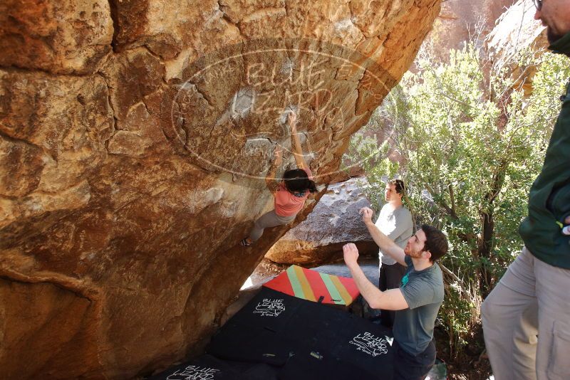 Bouldering in Hueco Tanks on 02/16/2020 with Blue Lizard Climbing and Yoga

Filename: SRM_20200216_1253310.jpg
Aperture: f/4.5
Shutter Speed: 1/250
Body: Canon EOS-1D Mark II
Lens: Canon EF 16-35mm f/2.8 L