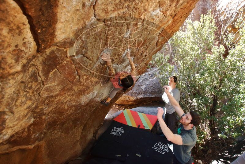 Bouldering in Hueco Tanks on 02/16/2020 with Blue Lizard Climbing and Yoga

Filename: SRM_20200216_1253330.jpg
Aperture: f/4.5
Shutter Speed: 1/250
Body: Canon EOS-1D Mark II
Lens: Canon EF 16-35mm f/2.8 L