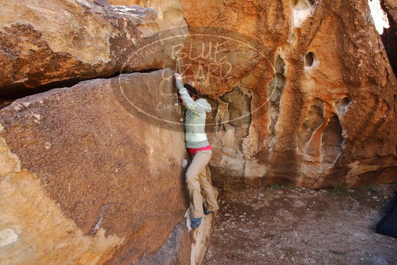 Bouldering in Hueco Tanks on 02/16/2020 with Blue Lizard Climbing and Yoga

Filename: SRM_20200216_1256290.jpg
Aperture: f/5.6
Shutter Speed: 1/250
Body: Canon EOS-1D Mark II
Lens: Canon EF 16-35mm f/2.8 L