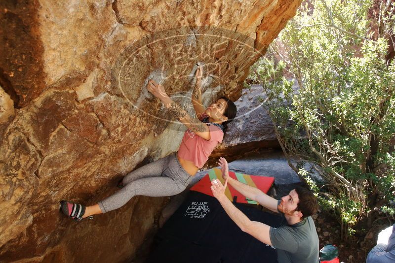 Bouldering in Hueco Tanks on 02/16/2020 with Blue Lizard Climbing and Yoga

Filename: SRM_20200216_1304270.jpg
Aperture: f/5.0
Shutter Speed: 1/250
Body: Canon EOS-1D Mark II
Lens: Canon EF 16-35mm f/2.8 L