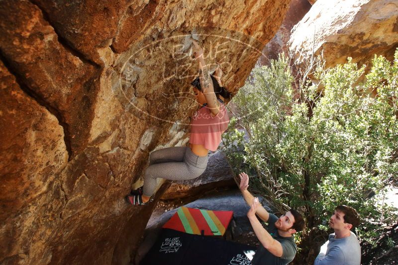 Bouldering in Hueco Tanks on 02/16/2020 with Blue Lizard Climbing and Yoga

Filename: SRM_20200216_1304410.jpg
Aperture: f/5.6
Shutter Speed: 1/250
Body: Canon EOS-1D Mark II
Lens: Canon EF 16-35mm f/2.8 L