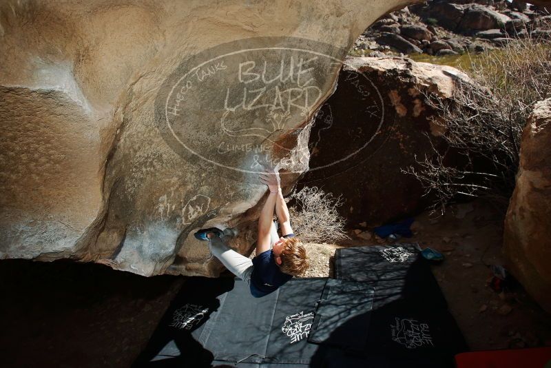 Bouldering in Hueco Tanks on 02/16/2020 with Blue Lizard Climbing and Yoga

Filename: SRM_20200216_1355210.jpg
Aperture: f/8.0
Shutter Speed: 1/250
Body: Canon EOS-1D Mark II
Lens: Canon EF 16-35mm f/2.8 L