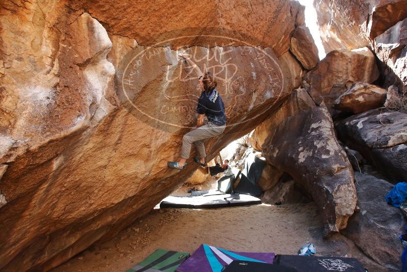 Bouldering in Hueco Tanks on 02/16/2020 with Blue Lizard Climbing and Yoga

Filename: SRM_20200216_1436510.jpg
Aperture: f/5.6
Shutter Speed: 1/250
Body: Canon EOS-1D Mark II
Lens: Canon EF 16-35mm f/2.8 L