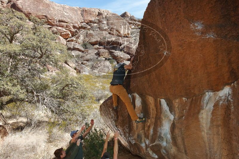 Bouldering in Hueco Tanks on 02/16/2020 with Blue Lizard Climbing and Yoga

Filename: SRM_20200216_1447340.jpg
Aperture: f/8.0
Shutter Speed: 1/250
Body: Canon EOS-1D Mark II
Lens: Canon EF 16-35mm f/2.8 L