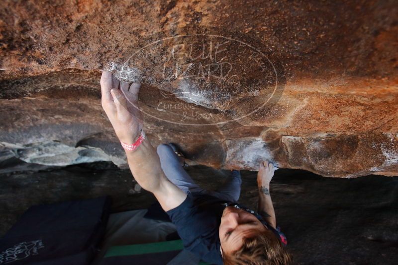 Bouldering in Hueco Tanks on 02/16/2020 with Blue Lizard Climbing and Yoga

Filename: SRM_20200216_1611160.jpg
Aperture: f/4.5
Shutter Speed: 1/250
Body: Canon EOS-1D Mark II
Lens: Canon EF 16-35mm f/2.8 L