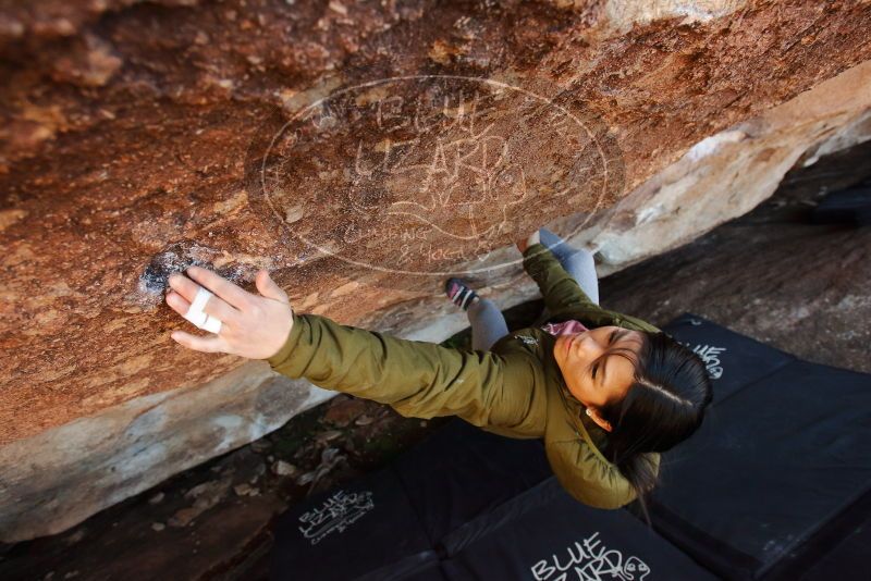 Bouldering in Hueco Tanks on 02/16/2020 with Blue Lizard Climbing and Yoga

Filename: SRM_20200216_1639020.jpg
Aperture: f/4.5
Shutter Speed: 1/250
Body: Canon EOS-1D Mark II
Lens: Canon EF 16-35mm f/2.8 L