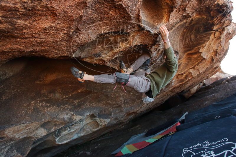 Bouldering in Hueco Tanks on 02/16/2020 with Blue Lizard Climbing and Yoga

Filename: SRM_20200216_1708070.jpg
Aperture: f/5.0
Shutter Speed: 1/250
Body: Canon EOS-1D Mark II
Lens: Canon EF 16-35mm f/2.8 L