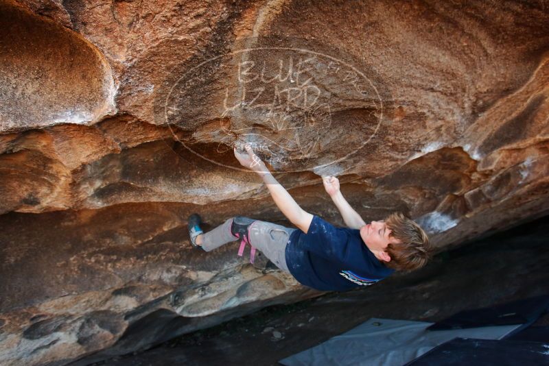 Bouldering in Hueco Tanks on 02/16/2020 with Blue Lizard Climbing and Yoga

Filename: SRM_20200216_1718330.jpg
Aperture: f/4.5
Shutter Speed: 1/250
Body: Canon EOS-1D Mark II
Lens: Canon EF 16-35mm f/2.8 L