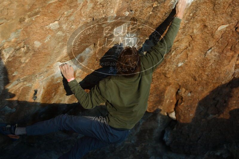 Bouldering in Hueco Tanks on 02/16/2020 with Blue Lizard Climbing and Yoga

Filename: SRM_20200216_1819490.jpg
Aperture: f/2.5
Shutter Speed: 1/400
Body: Canon EOS-1D Mark II
Lens: Canon EF 50mm f/1.8 II