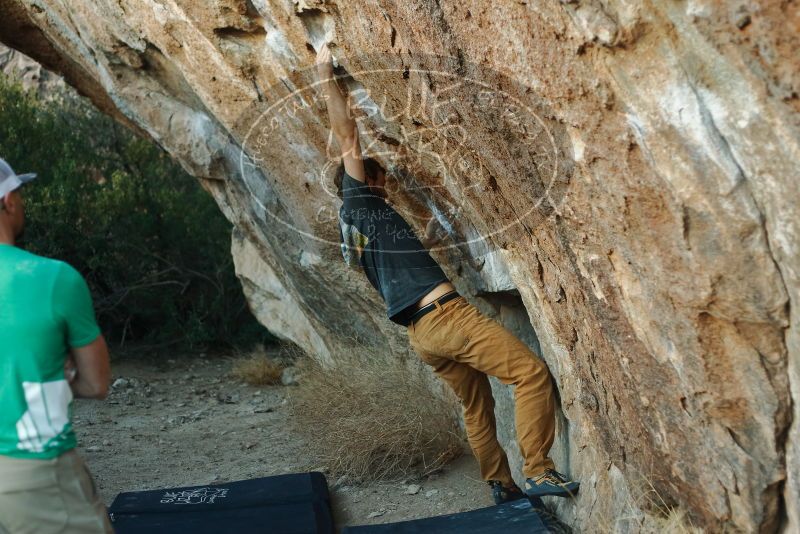 Bouldering in Hueco Tanks on 02/16/2020 with Blue Lizard Climbing and Yoga

Filename: SRM_20200216_1827360.jpg
Aperture: f/2.8
Shutter Speed: 1/320
Body: Canon EOS-1D Mark II
Lens: Canon EF 50mm f/1.8 II