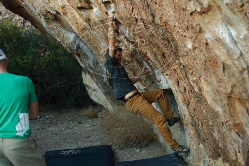 Bouldering in Hueco Tanks on 02/16/2020 with Blue Lizard Climbing and Yoga

Filename: SRM_20200216_1827370.jpg
Aperture: f/3.2
Shutter Speed: 1/320
Body: Canon EOS-1D Mark II
Lens: Canon EF 50mm f/1.8 II