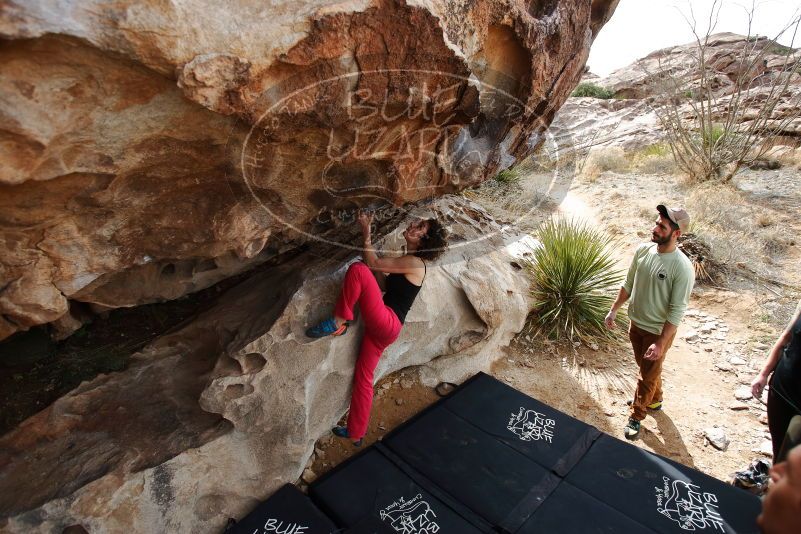 Bouldering in Hueco Tanks on 02/17/2020 with Blue Lizard Climbing and Yoga

Filename: SRM_20200217_1216170.jpg
Aperture: f/3.5
Shutter Speed: 1/320
Body: Canon EOS-1D Mark II
Lens: Canon EF 16-35mm f/2.8 L