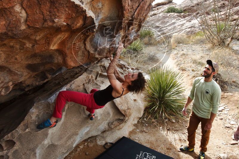 Bouldering in Hueco Tanks on 02/17/2020 with Blue Lizard Climbing and Yoga

Filename: SRM_20200217_1216230.jpg
Aperture: f/6.3
Shutter Speed: 1/250
Body: Canon EOS-1D Mark II
Lens: Canon EF 16-35mm f/2.8 L