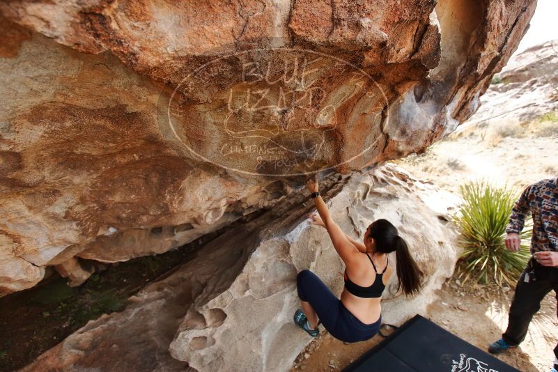 Bouldering in Hueco Tanks on 02/17/2020 with Blue Lizard Climbing and Yoga

Filename: SRM_20200217_1222550.jpg
Aperture: f/4.5
Shutter Speed: 1/250
Body: Canon EOS-1D Mark II
Lens: Canon EF 16-35mm f/2.8 L