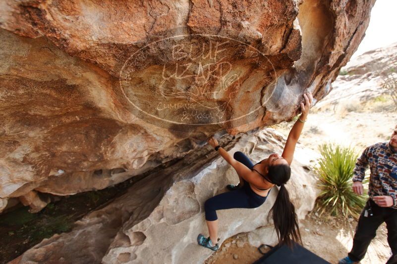 Bouldering in Hueco Tanks on 02/17/2020 with Blue Lizard Climbing and Yoga

Filename: SRM_20200217_1222580.jpg
Aperture: f/4.5
Shutter Speed: 1/250
Body: Canon EOS-1D Mark II
Lens: Canon EF 16-35mm f/2.8 L