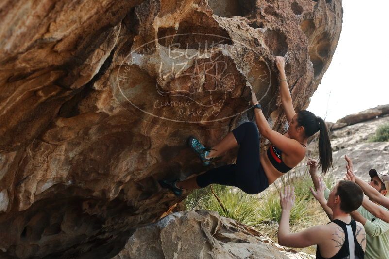 Bouldering in Hueco Tanks on 02/17/2020 with Blue Lizard Climbing and Yoga

Filename: SRM_20200217_1236270.jpg
Aperture: f/4.0
Shutter Speed: 1/400
Body: Canon EOS-1D Mark II
Lens: Canon EF 50mm f/1.8 II