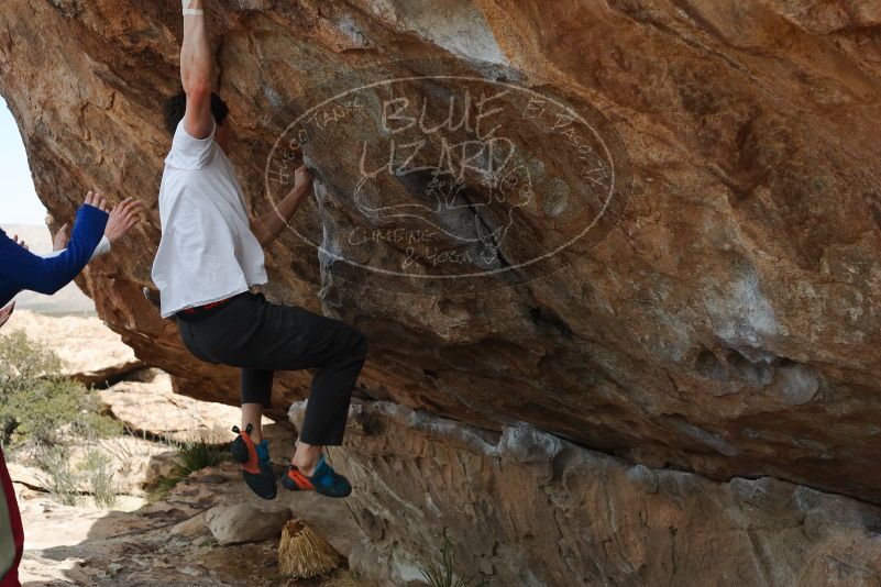 Bouldering in Hueco Tanks on 02/17/2020 with Blue Lizard Climbing and Yoga

Filename: SRM_20200217_1331090.jpg
Aperture: f/4.5
Shutter Speed: 1/400
Body: Canon EOS-1D Mark II
Lens: Canon EF 50mm f/1.8 II