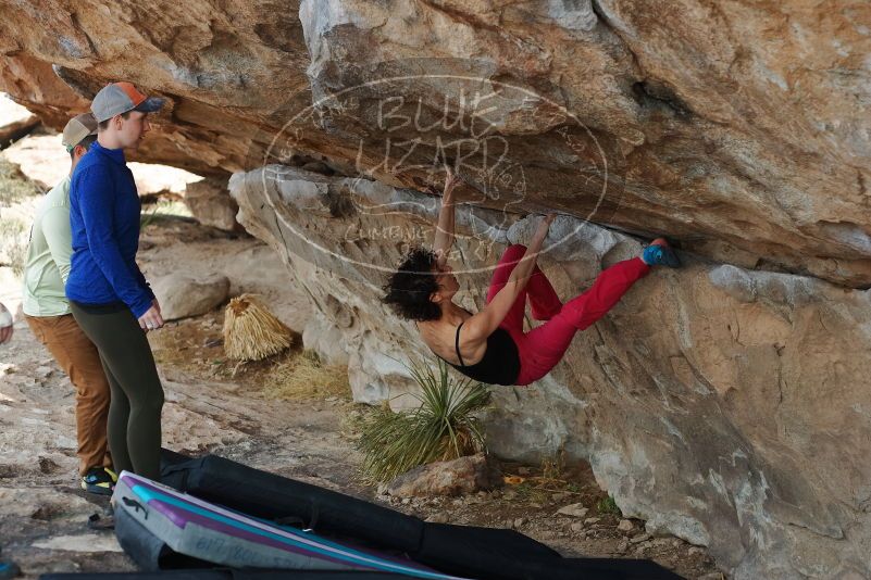 Bouldering in Hueco Tanks on 02/17/2020 with Blue Lizard Climbing and Yoga

Filename: SRM_20200217_1333540.jpg
Aperture: f/3.5
Shutter Speed: 1/400
Body: Canon EOS-1D Mark II
Lens: Canon EF 50mm f/1.8 II