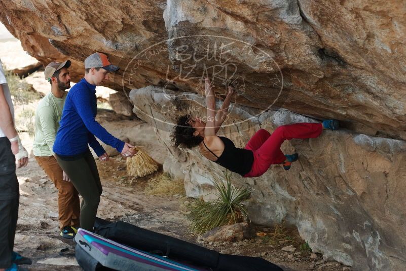 Bouldering in Hueco Tanks on 02/17/2020 with Blue Lizard Climbing and Yoga

Filename: SRM_20200217_1333550.jpg
Aperture: f/3.5
Shutter Speed: 1/400
Body: Canon EOS-1D Mark II
Lens: Canon EF 50mm f/1.8 II