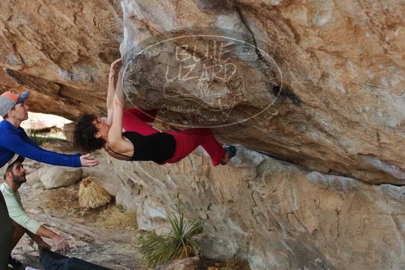 Bouldering in Hueco Tanks on 02/17/2020 with Blue Lizard Climbing and Yoga

Filename: SRM_20200217_1334070.jpg
Aperture: f/3.5
Shutter Speed: 1/400
Body: Canon EOS-1D Mark II
Lens: Canon EF 50mm f/1.8 II