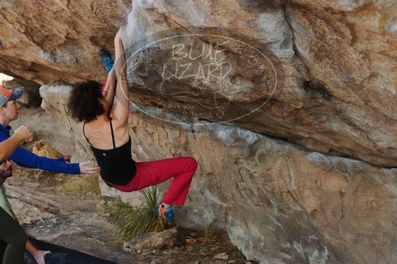 Bouldering in Hueco Tanks on 02/17/2020 with Blue Lizard Climbing and Yoga

Filename: SRM_20200217_1334140.jpg
Aperture: f/3.5
Shutter Speed: 1/400
Body: Canon EOS-1D Mark II
Lens: Canon EF 50mm f/1.8 II